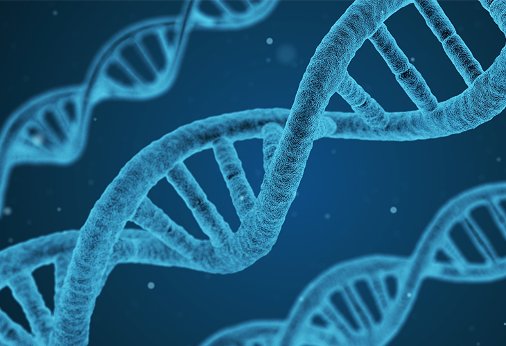 Desenho de célula de DNA