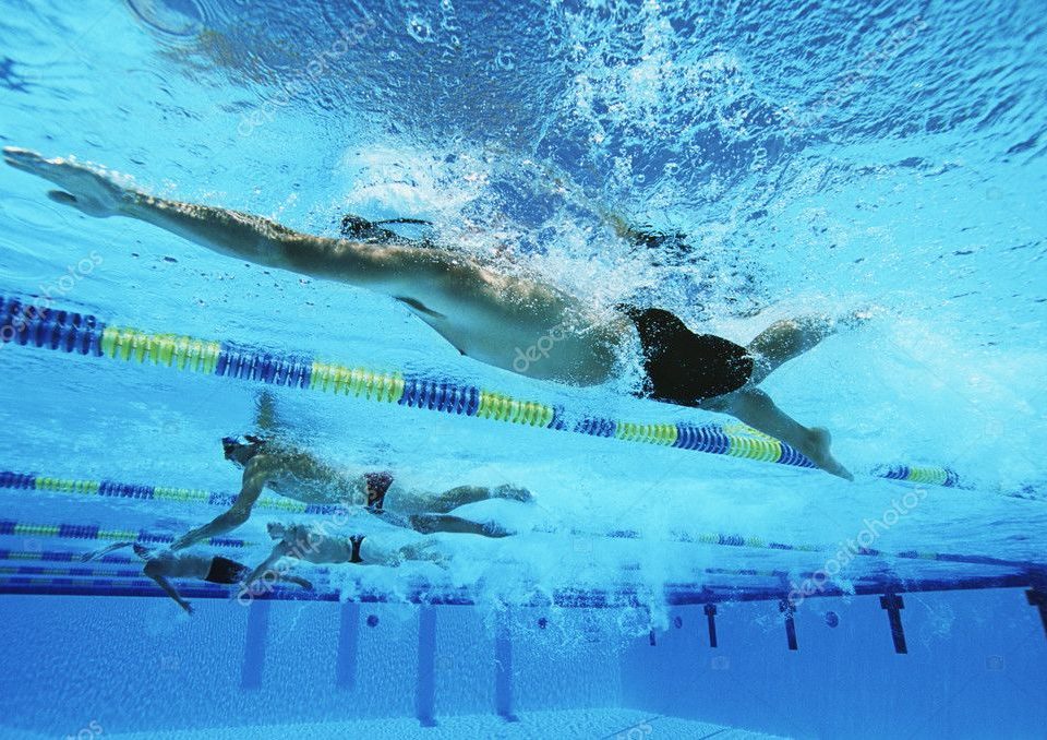 Quatro homens nadando em piscina olímpica